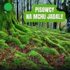 Przeczytaj szybciutko ... I już wiesz co nam dali 