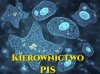 Kierownictwo pis   