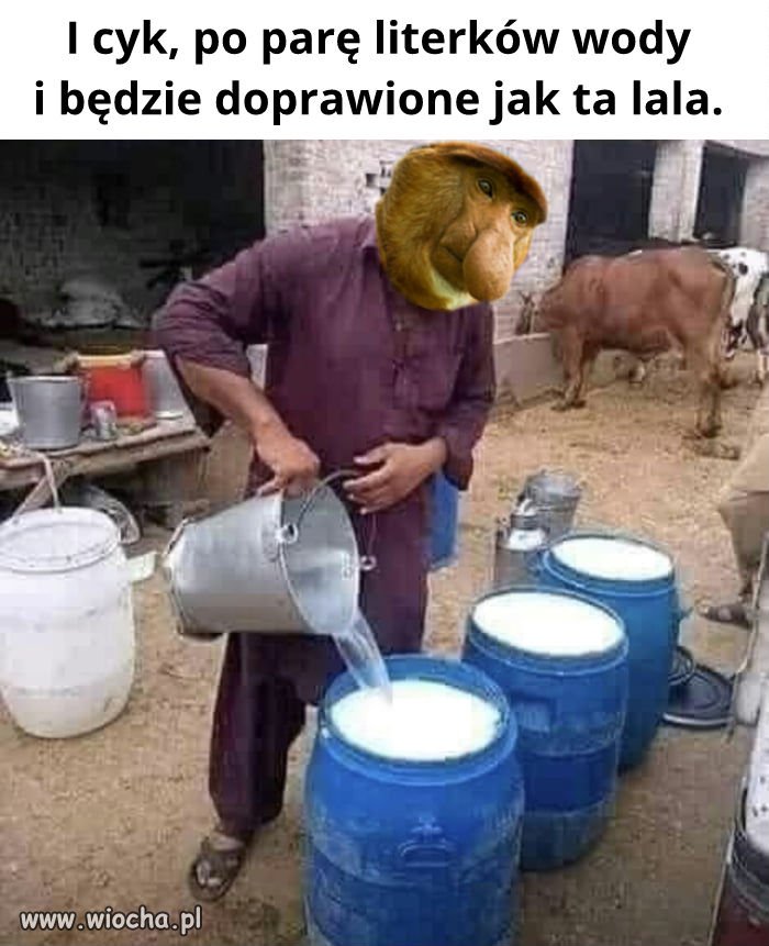 Janusz biznesmen