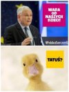 Heheszki