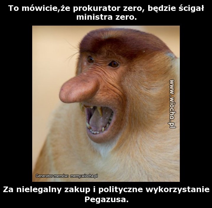To mówicie,że prokurator zero, będzie ścigał