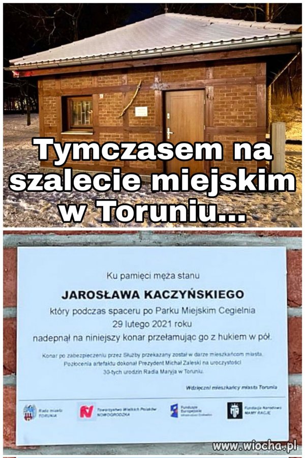Szalet w Toruniu 