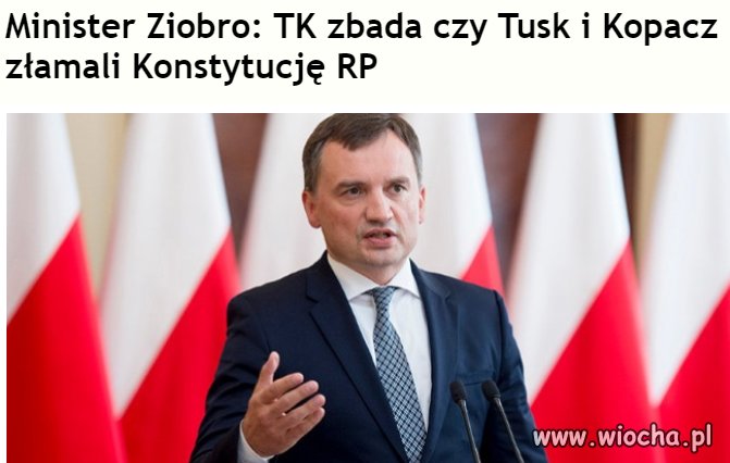 Zera pomysłów ciąg dalszy