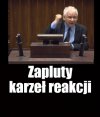 Idol z wyboru przez aklamację