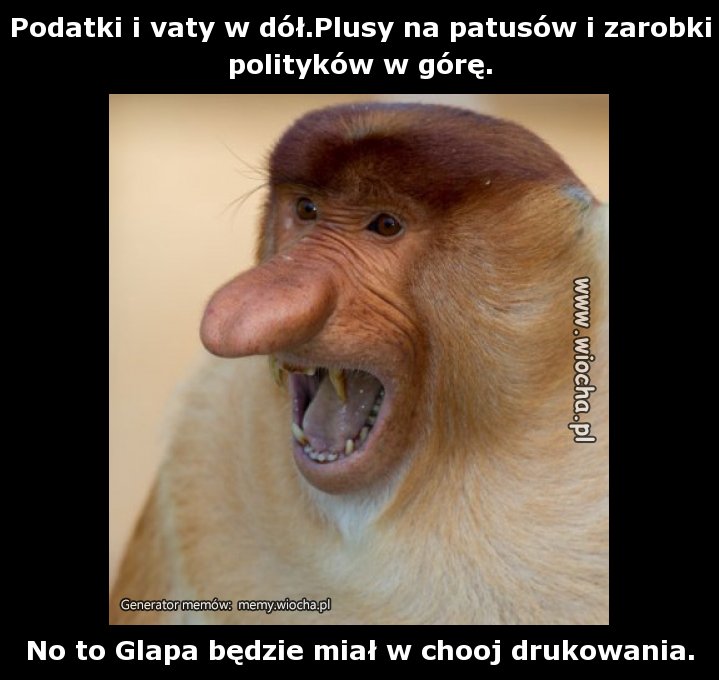 Podatki i vaty w dół.Plusy na patusów i zarobki