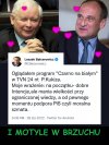 Miłość kwitnie