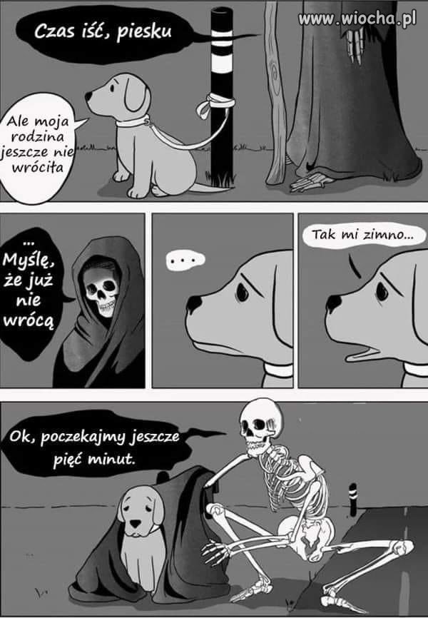 Tak wygląda zabawka