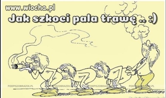 Heheszki 