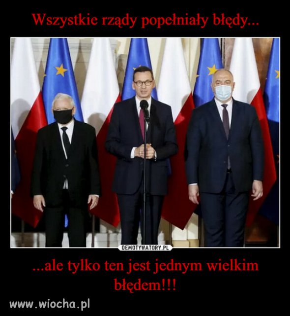Co o tym sadzicie?
