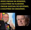 Wierszyk na dziś
