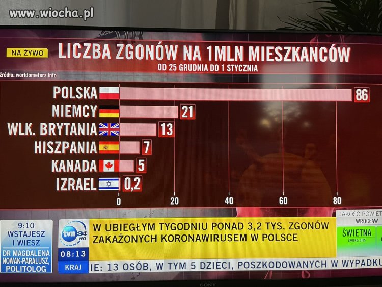 Tygrys nie Europy a świata