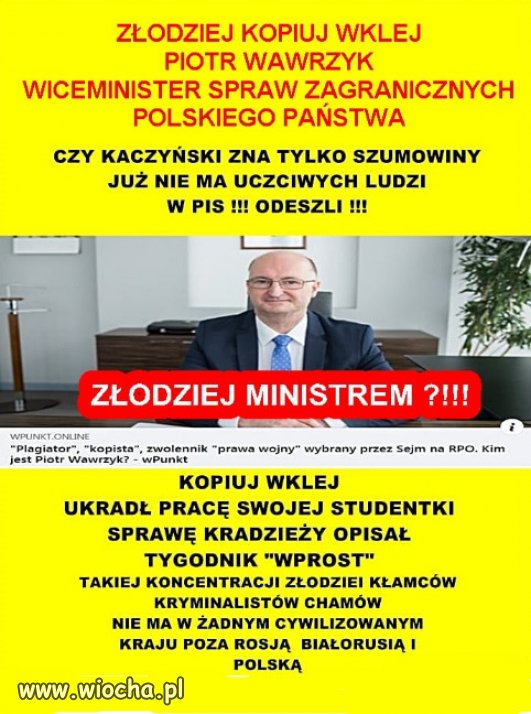 W PiS Kaczyńskiego, sami złodzieje i oszuści...