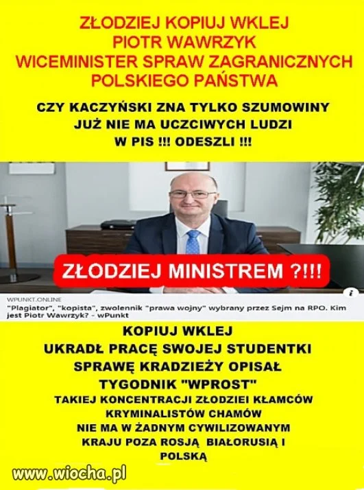 W PiS Kaczyńskiego, sami złodzieje i oszuści...