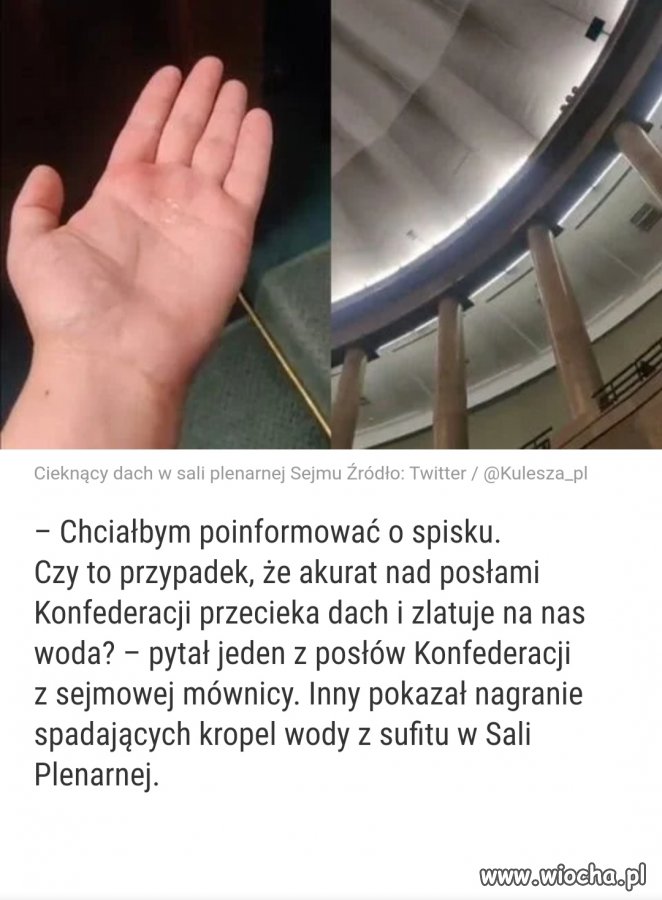 Spisek?! Zamach?! 