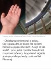Spisek?! Zamach?! 