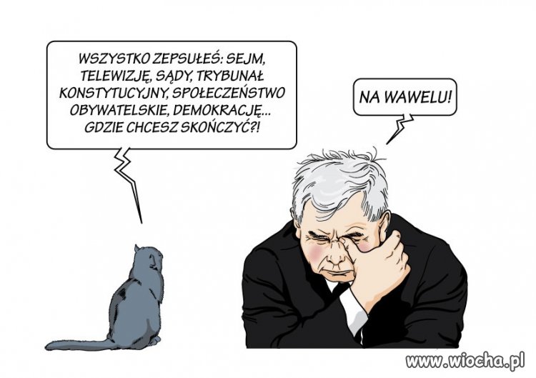 Marzenia Jarka 