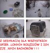 Prezent na Gwiazdkę się znudził