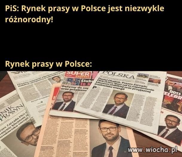 Różnorodność