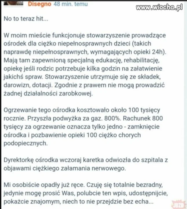 Brawo pis