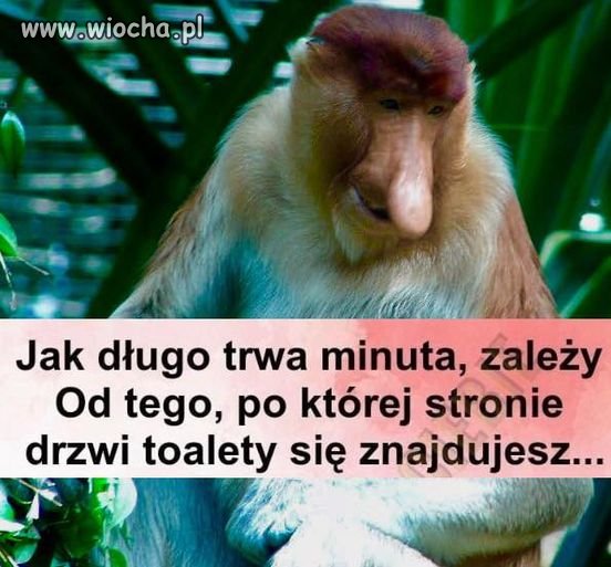 Dlatego