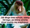 Dlatego