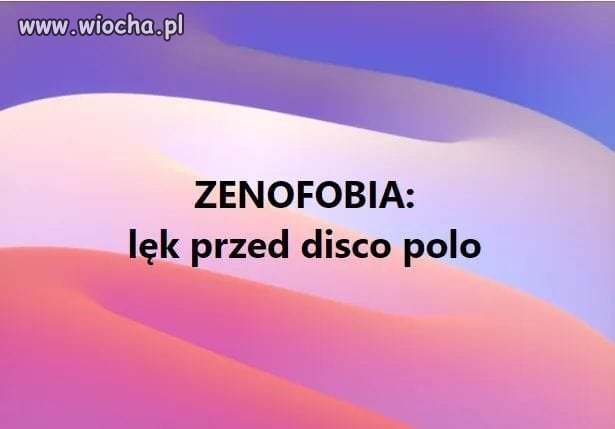Zenek, Zenek, Zenek