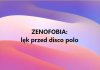 Zenek, Zenek, Zenek
