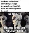 Tak to wtgląda