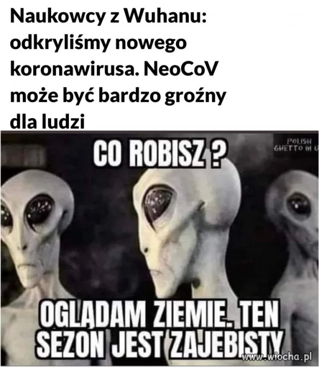 Tak to wtgląda