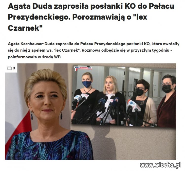 Poszukiwany tłumacz migowy dla niemowy