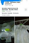Ło madko...