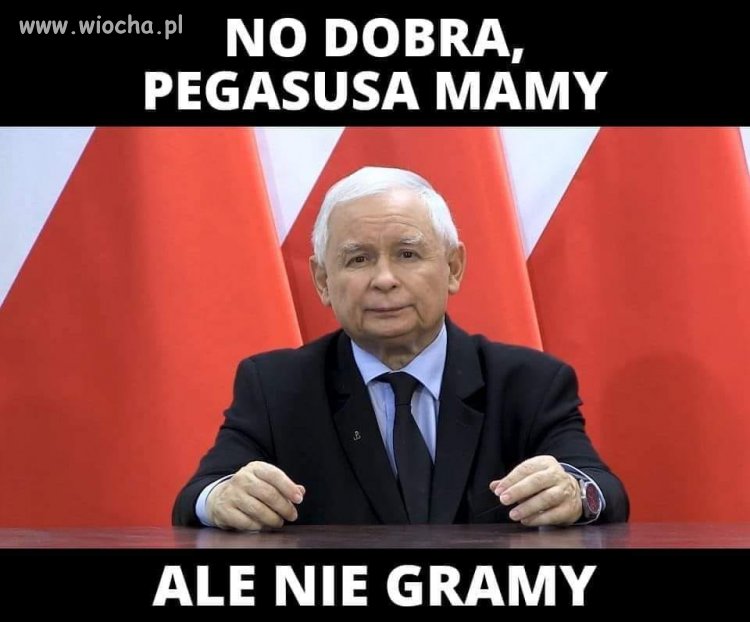 Pegazusa mamy