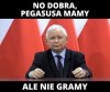 Pegazusa mamy
