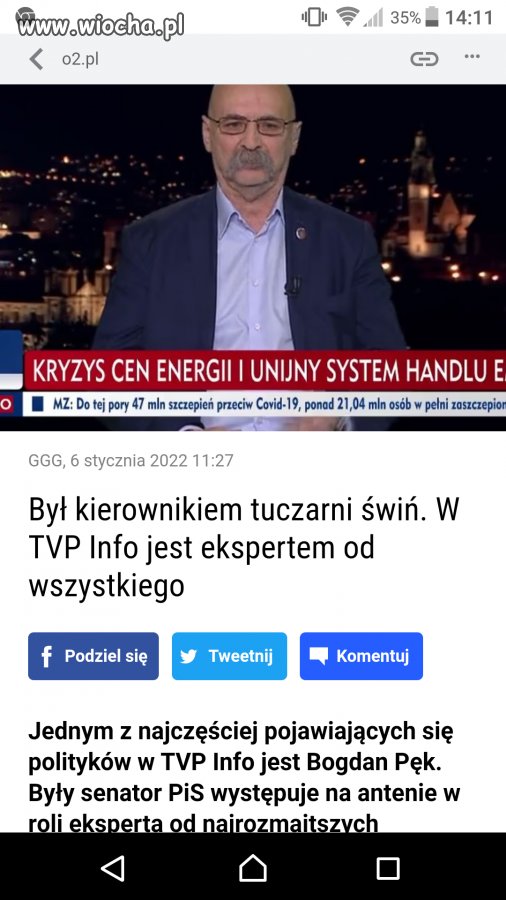 Ekspert Tvp Info