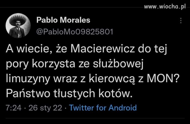 Tłuste koty 