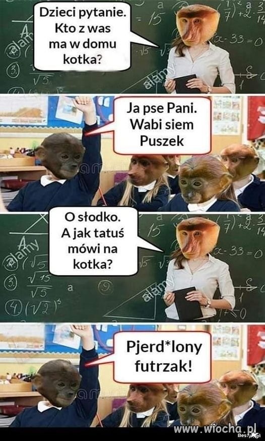 Szkoda że, nie