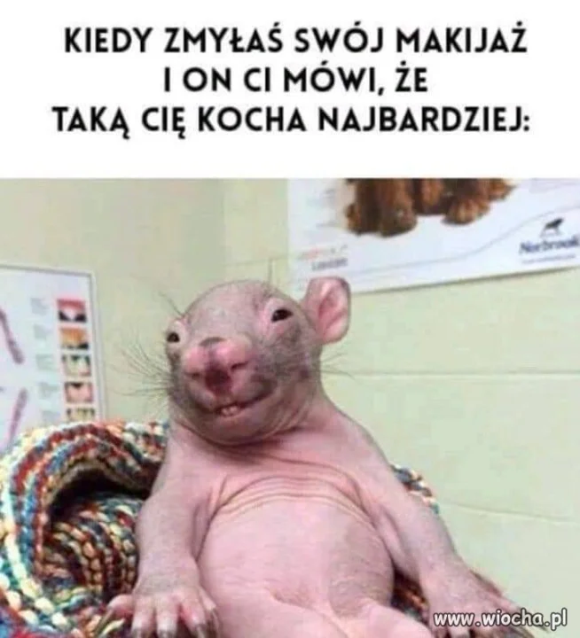 Widocznie kocha