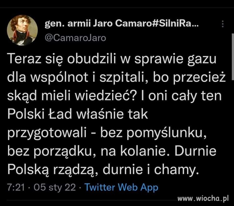 Durnie i chamy u władzy 