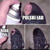 To jest ten typ, co ma naprawiać polski nieład...