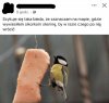 Bieda aż piszczy 