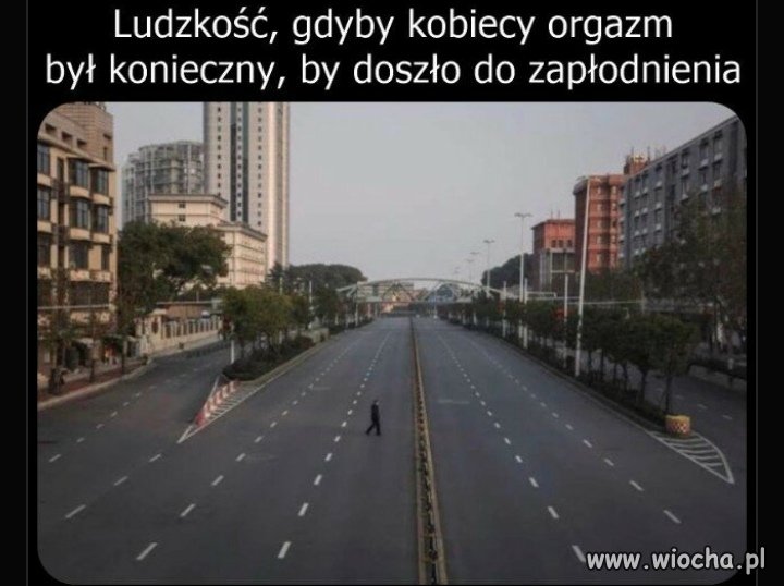 Tytuł zbędny 