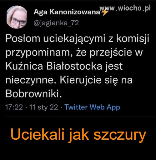 Statek tonie 