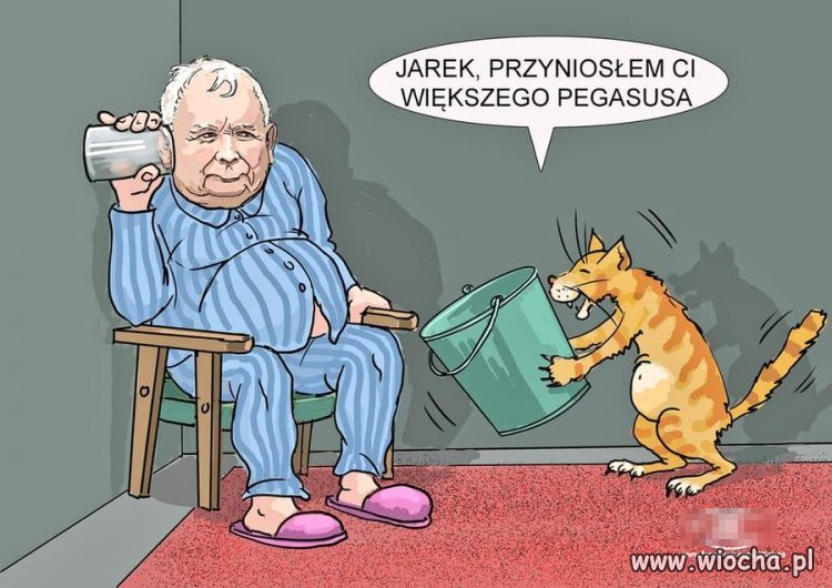 Tylko to tu zostawię
