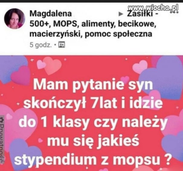 Wzorcowa wyborczyni PiS.
