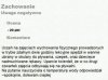 Kreatywny dzieciak