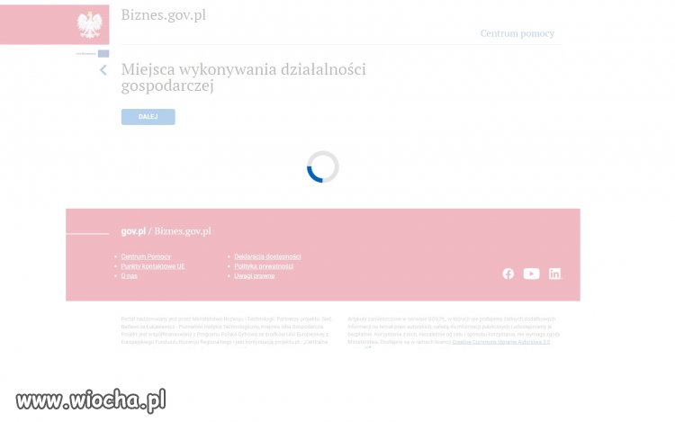 Prowadzenie biznesu w tekturowej Polsce