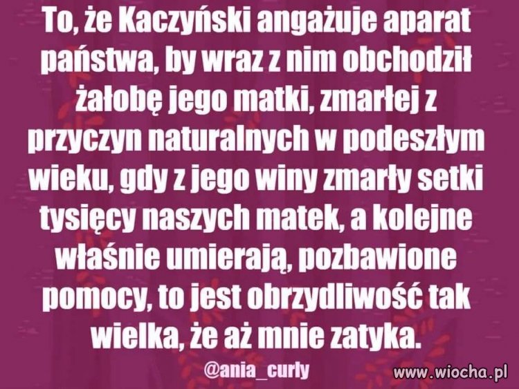 Tytuł zbędny 