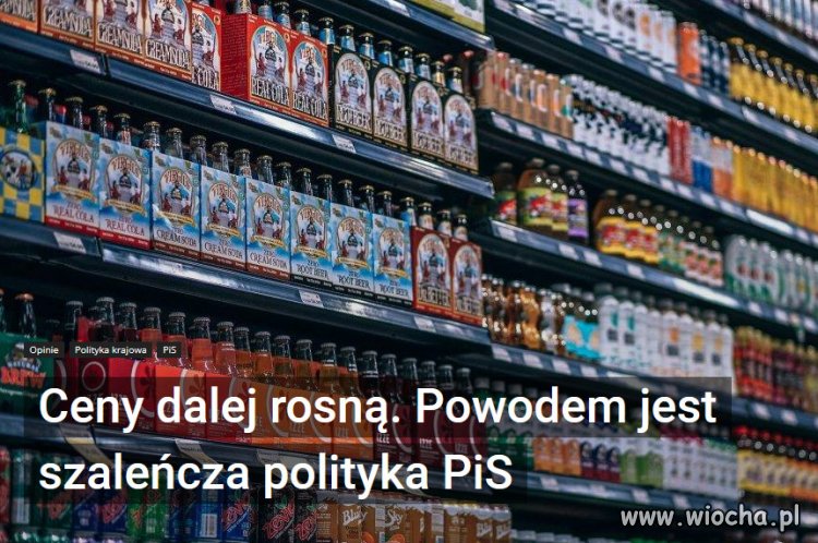 PiSowi świnie paść a nie rządzić 38 milionowym krajem!