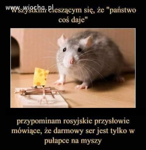 Niby każdy