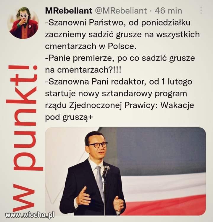 Wakacje pod gruszą 